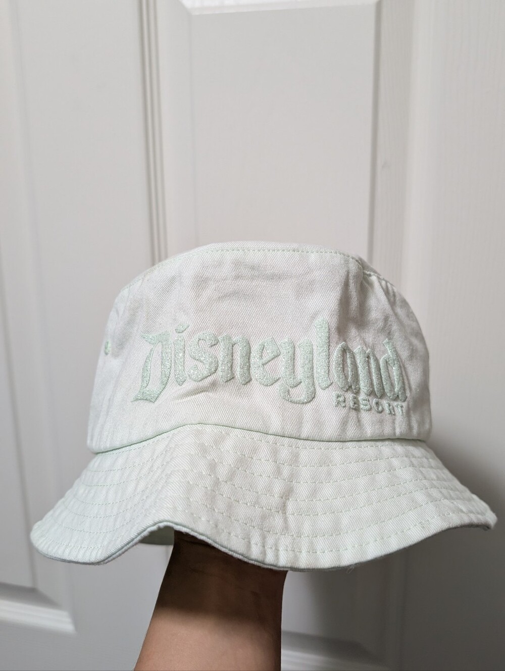 Walt Disneyland Resort Disney Mint Green Bucket Hat Spirit Jersey